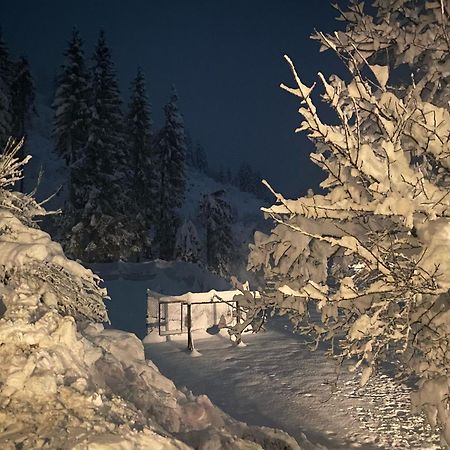 Almen-Kraeuter-Oberreiter Lägenhet Dellach im Drautal Exteriör bild