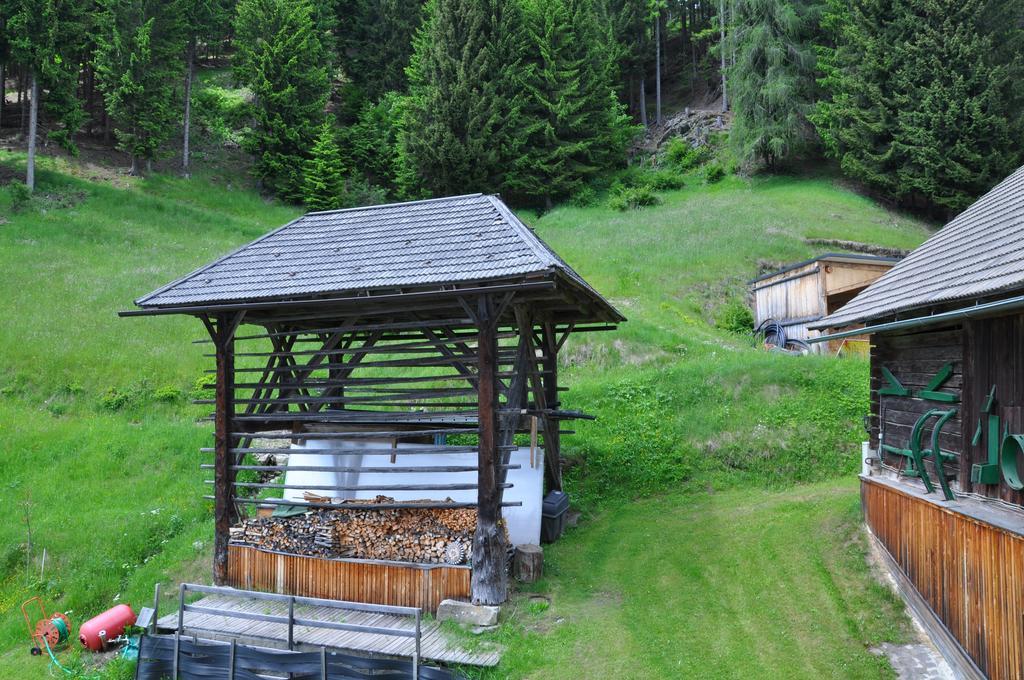 Almen-Kraeuter-Oberreiter Lägenhet Dellach im Drautal Exteriör bild