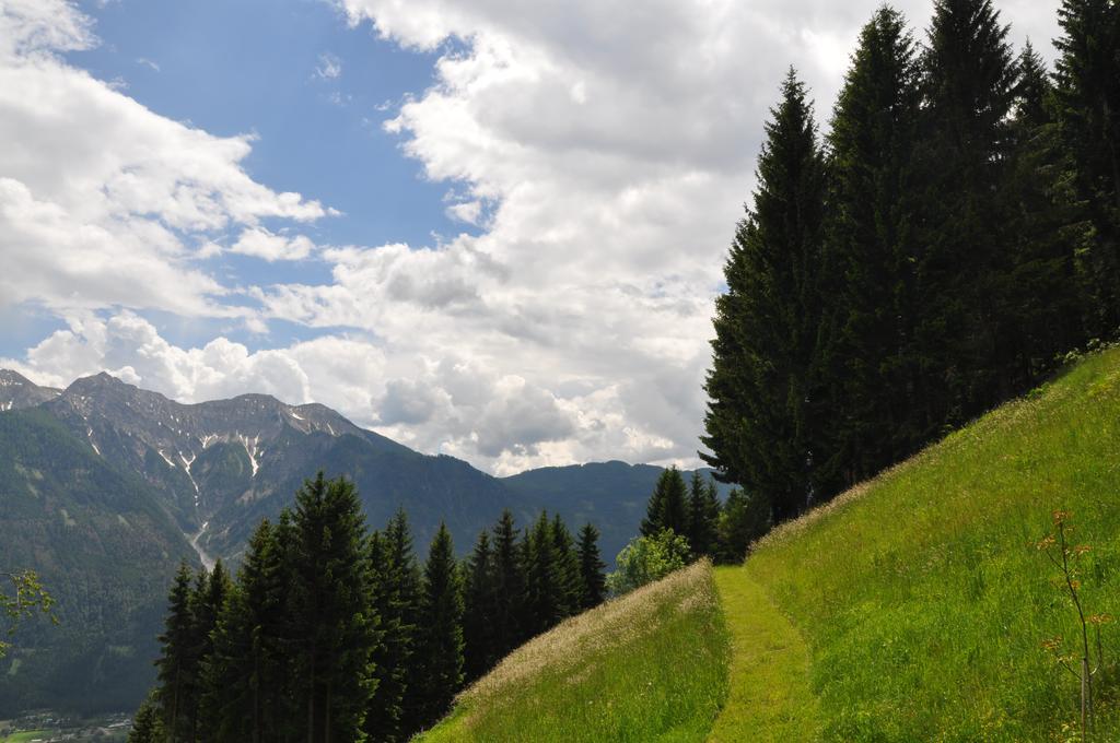 Almen-Kraeuter-Oberreiter Lägenhet Dellach im Drautal Exteriör bild