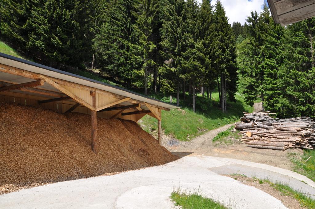 Almen-Kraeuter-Oberreiter Lägenhet Dellach im Drautal Exteriör bild